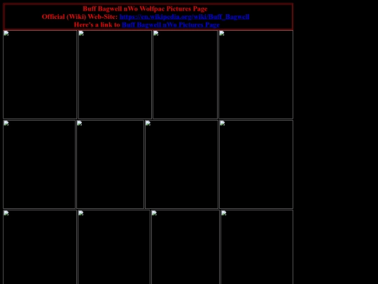 nwo/buff_bagwell_nWo_wolfpac_pictures_page screenshot
