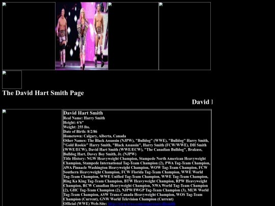 nwo/bwoothers/David_Hart_Smith_Hart_Dynasty_Page screenshot