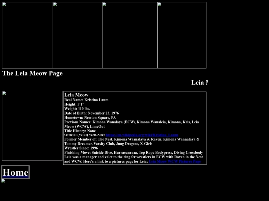 nwo/bwoothers/Leia_Meow_Jung_Dragons_Page screenshot