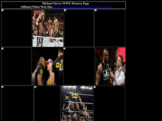 nwo/bwoothers/Nexus/michael_tarver_wwe_pictures_page screenshot