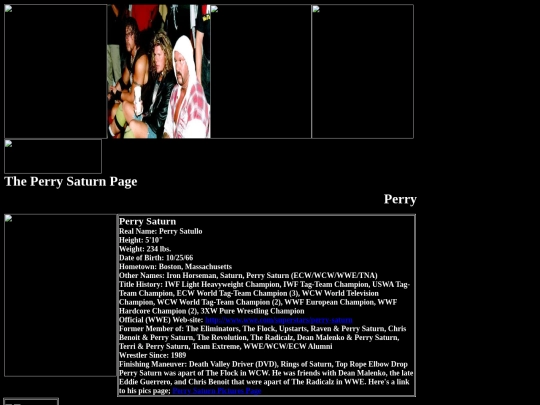 nwo/bwoothers/Perry_Saturn_The_Flock_Page screenshot