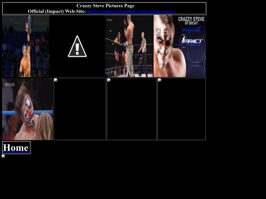 nwo/bwoothers/crazzy_steve_pictures_page screenshot