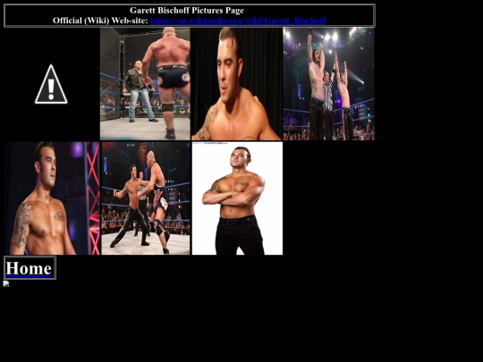 nwo/bwoothers/garett_bischoff_pictures_page screenshot