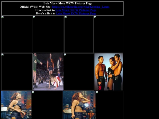 nwo/bwoothers/leia_meow_more_wcw_pictures_page screenshot