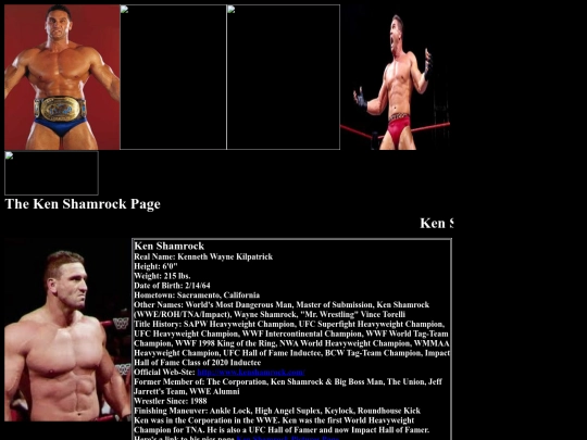 nwo/corpation/Ken_Shamrock_Corporation_Page screenshot