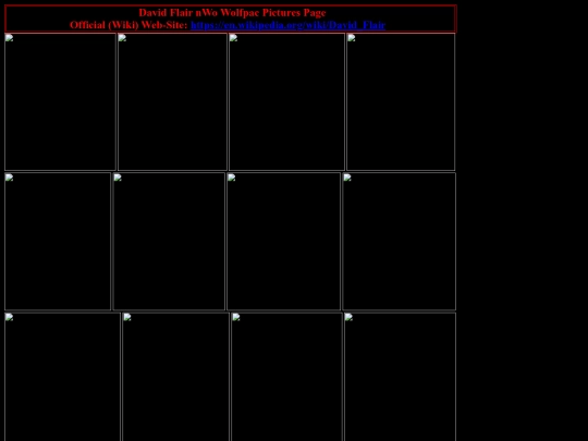 nwo/david_flair_nWo_wolfpac_pictures_page screenshot