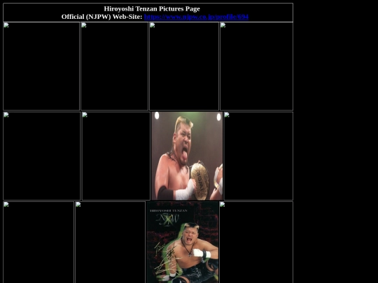 nwo/hiroyoshi_tenzan_pictures_page screenshot