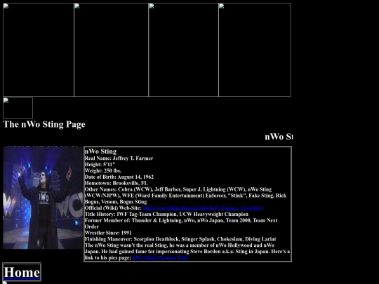nwo/nWo_Sting_nWo_Page screenshot