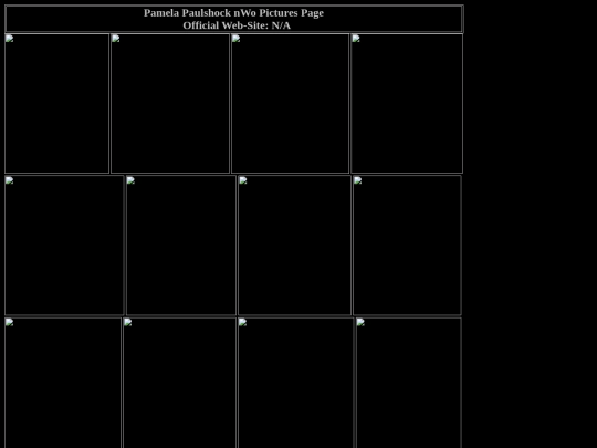 nwo/pamela_paulshock_nWo_pictures_page screenshot