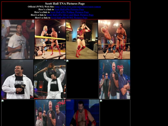 nwo/scott_hall_tna_pictures_page screenshot
