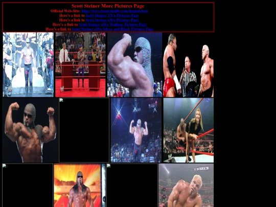 nwo/scott_steiner_more_pictures_page screenshot