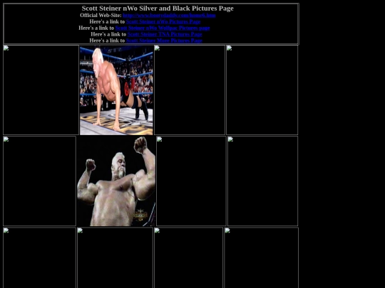 nwo/scott_steiner_nWo_silver_black_pictures_page screenshot