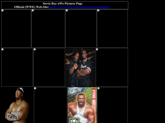 nwo/stevie_ray_nWo_pictures_page screenshot