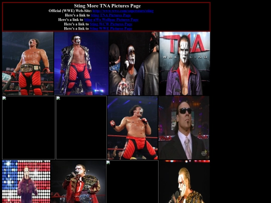nwo/sting_more_tna_pictures_page screenshot