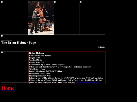 nwo/wcw/Brian_Hebner_WCW_ECW_Alliance_Referee_Page screenshot