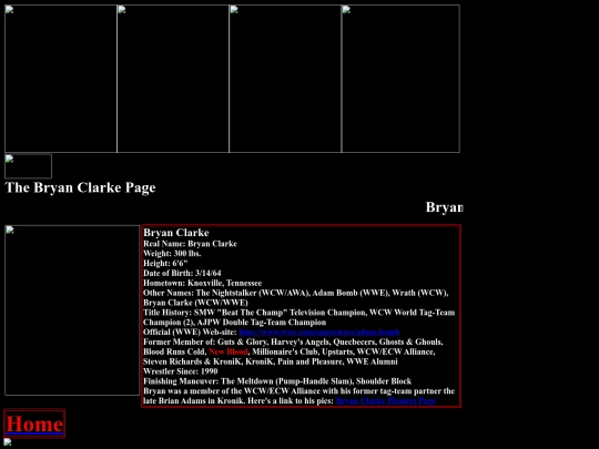 nwo/wcw/Bryan_Clarke_WCW_ECW_Alliance_Page screenshot