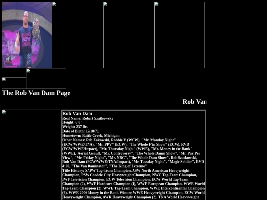 nwo/wcw/Rob_Van_Dam_WCW_ECW_Alliance_Page screenshot