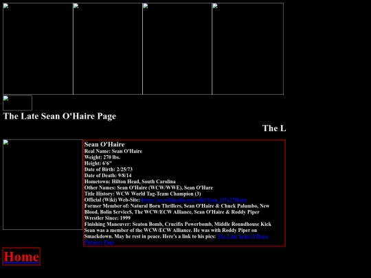 nwo/wcw/The_Late_Sean_Ohaire_WCW_ECW_Alliance_Page screenshot