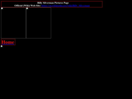 nwo/wcw/billy_silverman_pictures_page screenshot