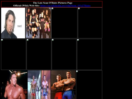 nwo/wcw/the_late_sean_ohaire_pictures_page screenshot