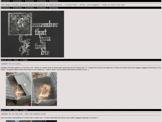 rot screenshot