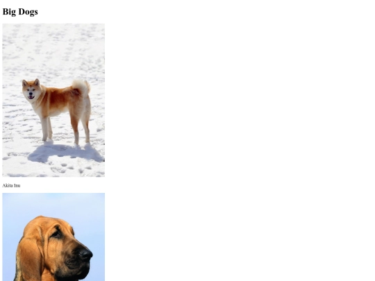 dog screenshot