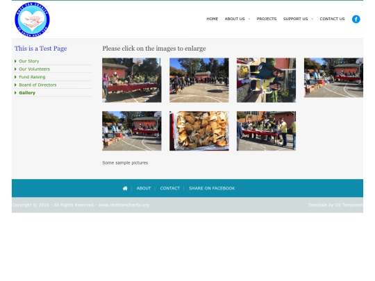 pages/testpage screenshot