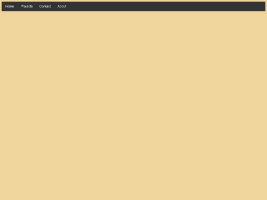 projects screenshot