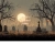 reggies-haunt.yorniq.xyz avatar