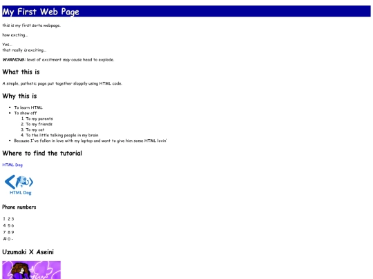 firstwebsite...kinda screenshot