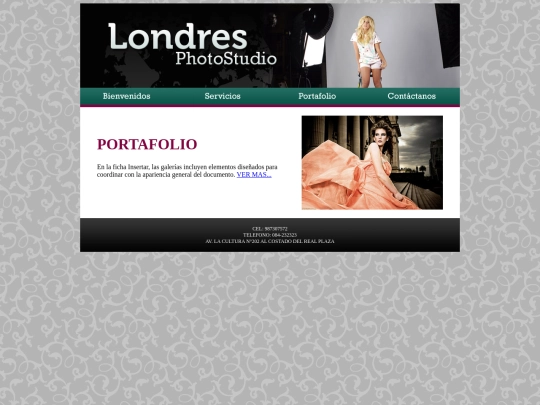 PORTAFOLIO screenshot