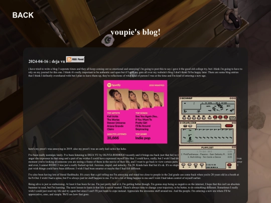 blog screenshot