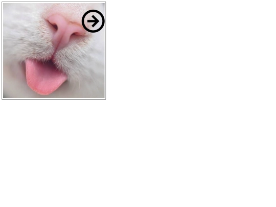 mainpage screenshot