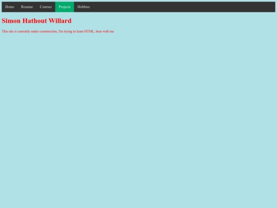 projects screenshot
