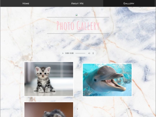 gallery screenshot