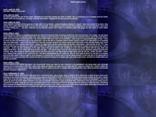 Pages/Journal screenshot