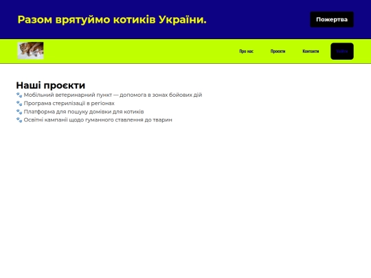 project screenshot