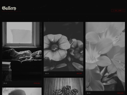 image screenshot