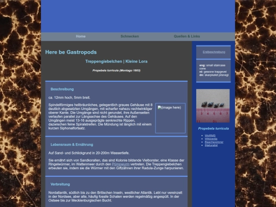 testropoda screenshot