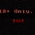 therabbitwillcatchyou.yorniq.xyz avatar