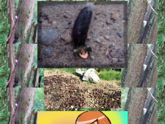 profile/randal/artdomain/SLUGNOW screenshot