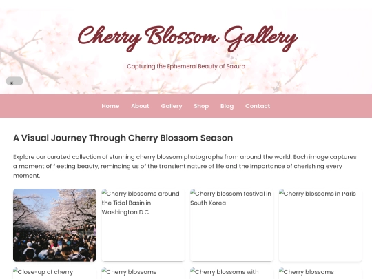 gallery screenshot