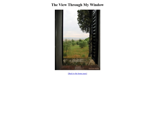 week5/window screenshot