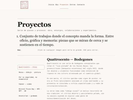 proyectos screenshot