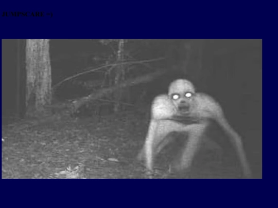 WALKER screenshot