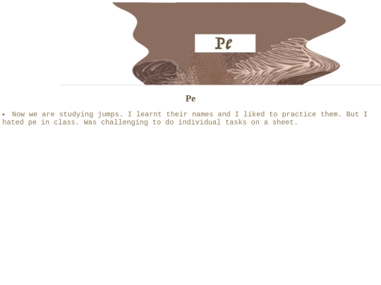 pe screenshot