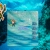 the aquarium avatar