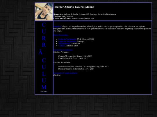 Practica/Curriculum screenshot