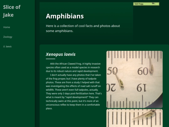 zoology/amphibians screenshot