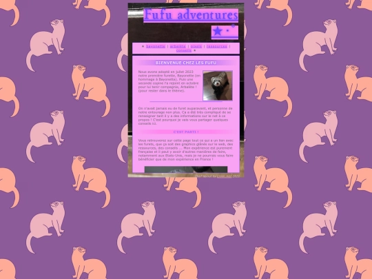 furets screenshot